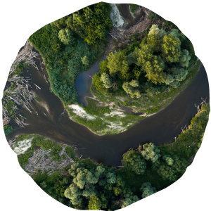 mura drava sllike habitati12