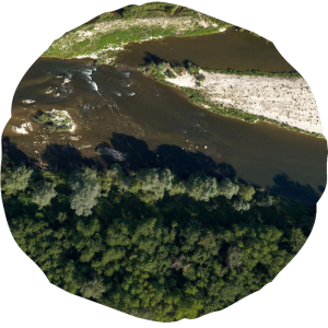 mura drava sllike habitati9
